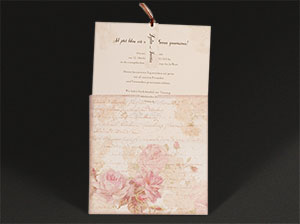 Vergrößerte Abbildung Hier ist zu sehen, wie die beiden Einleger aus der Karte gezogen werden.